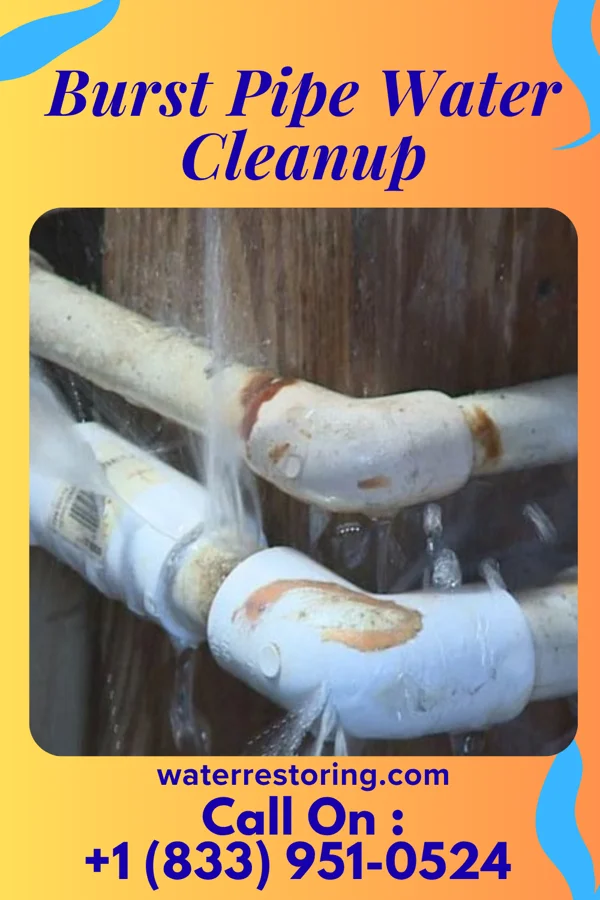 Burst Pipe Water Cleanup in Clayton, DE