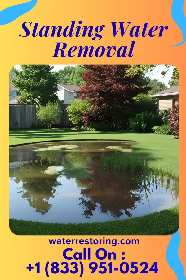 Standing Water Removal in Clayton, DE